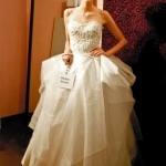 Casar 2011